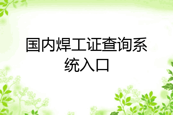 国内焊工证查询系统入口