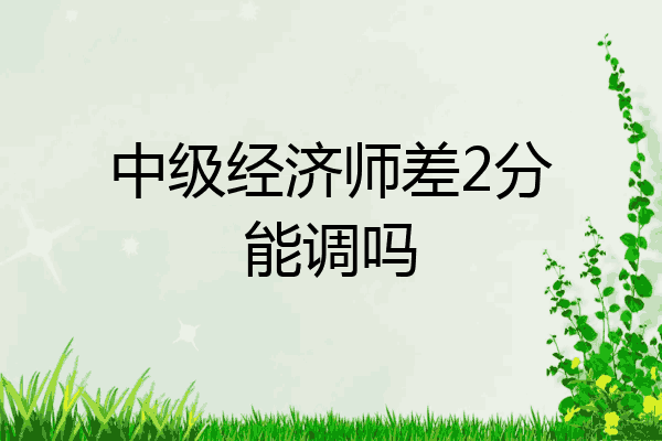 中级经济师差2分能调吗
