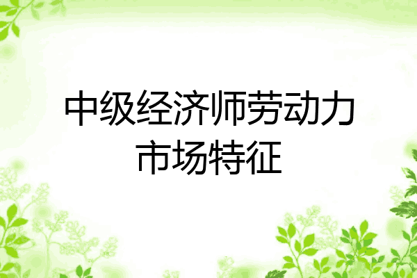 中级经济师劳动力市场特征