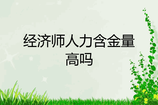经济师人力含金量高吗