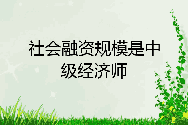 社会融资规模是中级经济师