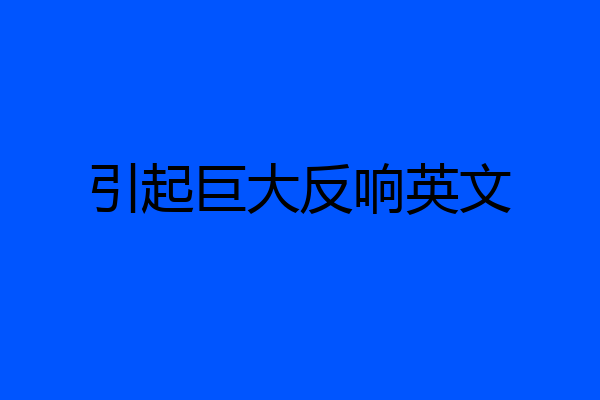 引起巨大反响英文