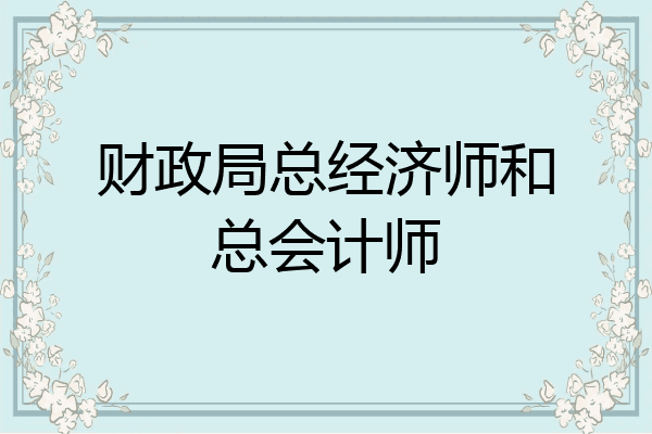 财政局总经济师和总会计师