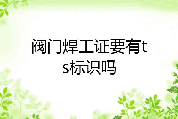 阀门焊工证要有ts标识吗