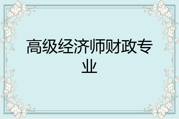 高级经济师财政专业