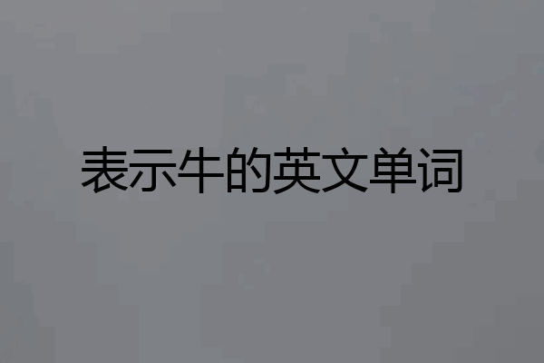 表示牛的英文单词