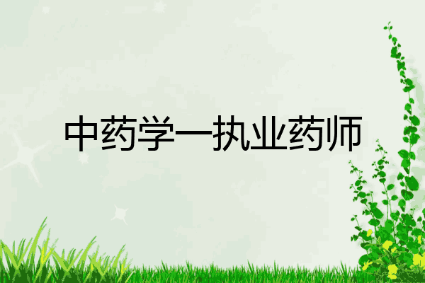 中药学一执业药师