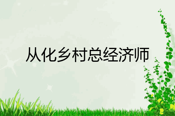 从化乡村总经济师