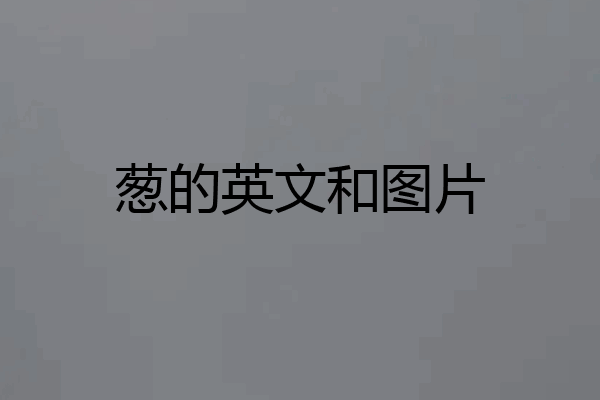 葱的英文和图片