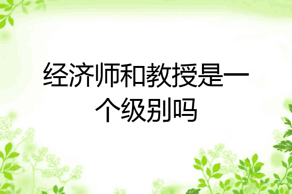 经济师和教授是一个级别吗