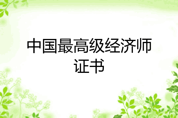 中国最高级经济师证书