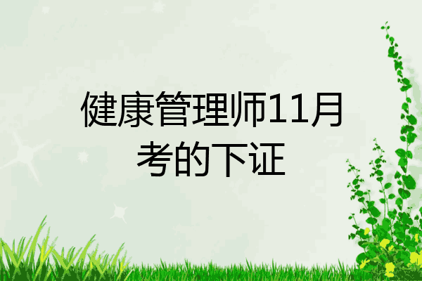 健康管理师11月考的下证