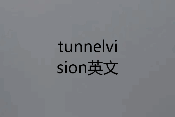 tunnelvision英文