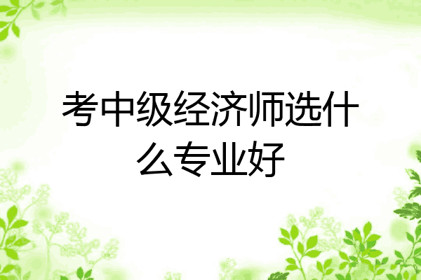 考中级经济师选什么专业好