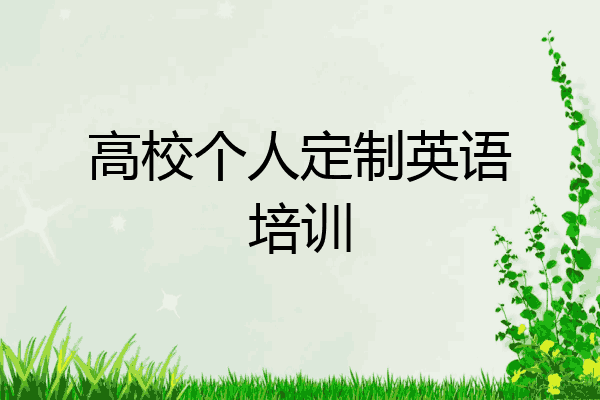 高校个人定制英语培训
