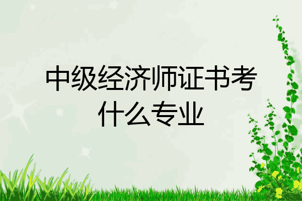 中级经济师证书考什么专业