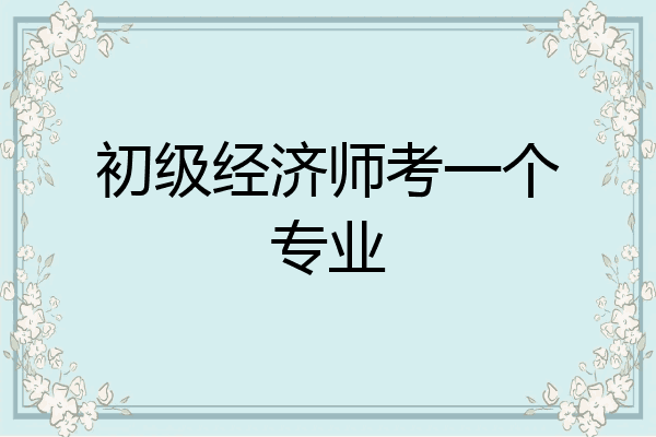 初级经济师考一个专业