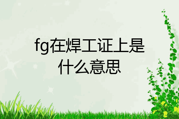 fg在焊工证上是什么意思
