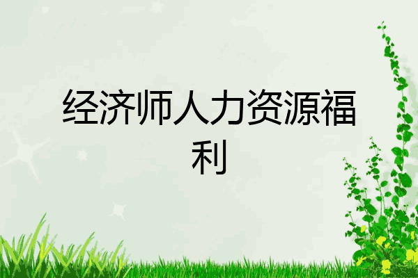 经济师人力资源福利