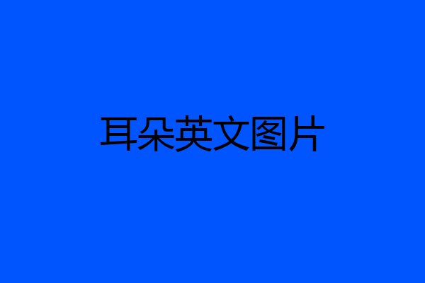 耳朵英文图片