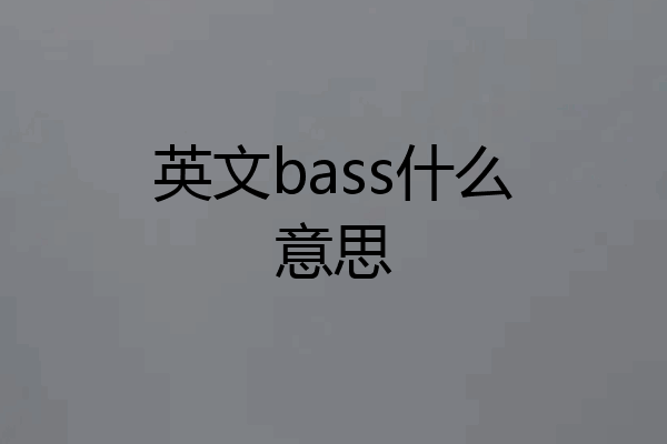 英文bass什么意思