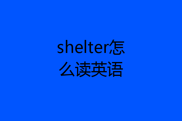 shelter怎么读英语