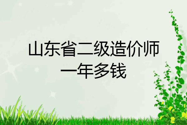 山东省二级造价师一年多钱