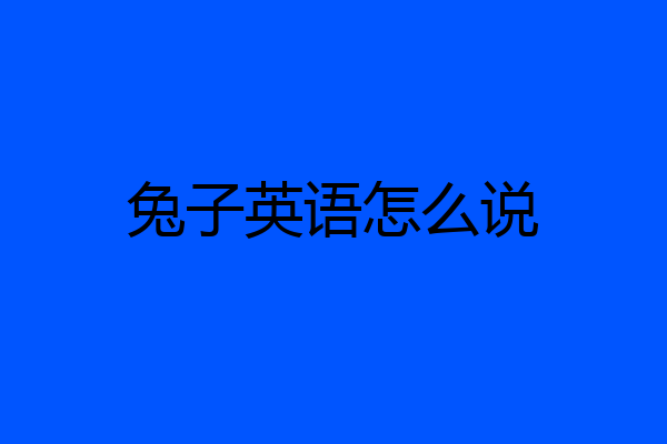 兔子英语怎么说