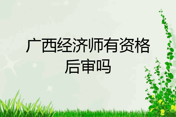 广西经济师有资格后审吗