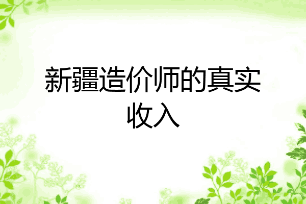新疆造价师的真实收入