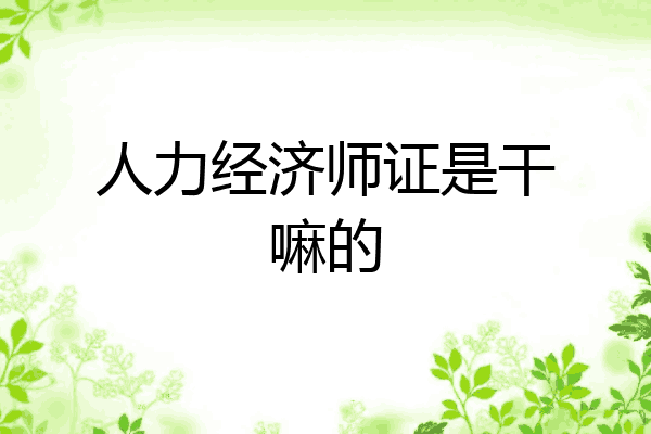 人力经济师证是干嘛的