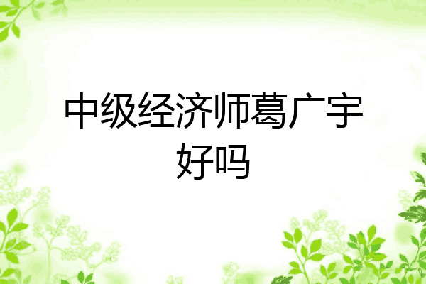 中级经济师葛广宇好吗