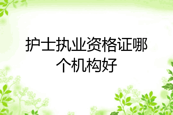 护士执业资格证哪个机构好