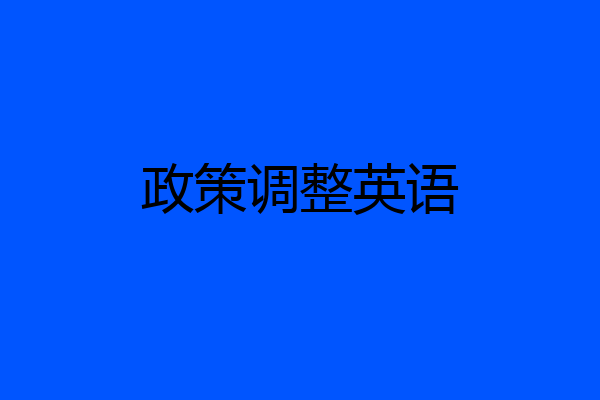 政策调整英语