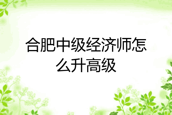 合肥中级经济师怎么升高级