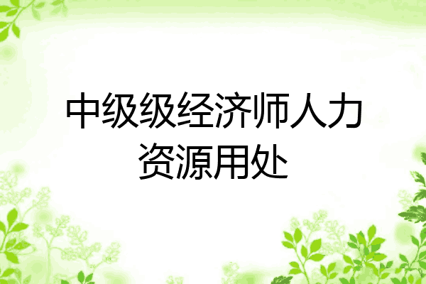 中级级经济师人力资源用处