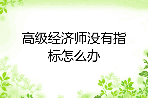 高级经济师没有指标怎么办