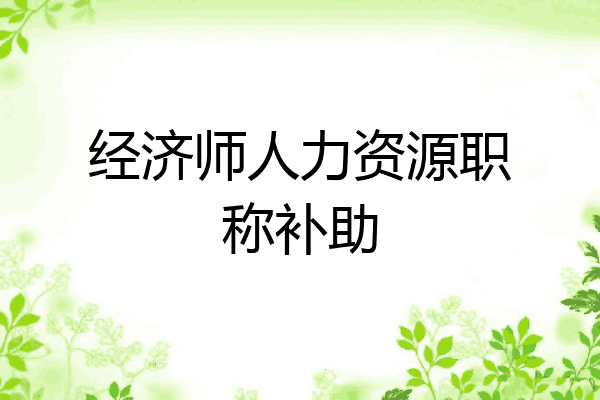 经济师人力资源职称补助