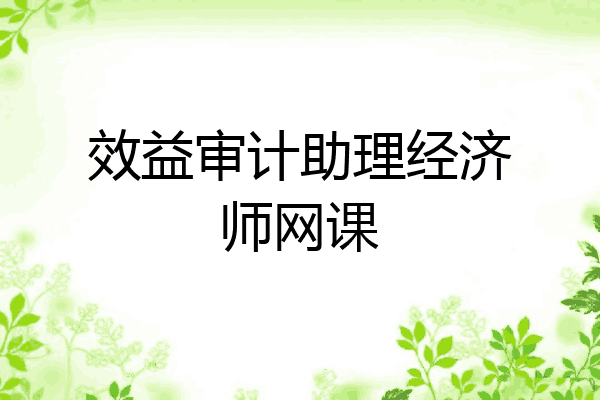 效益审计助理经济师网课