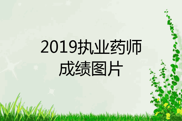2019执业药师成绩图片