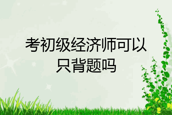 考初级经济师可以只背题吗
