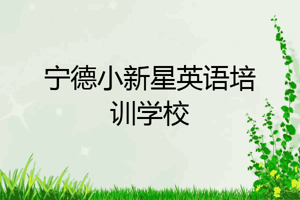 宁德小新星英语培训学校