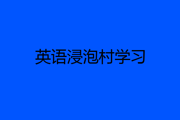 英语浸泡村学习