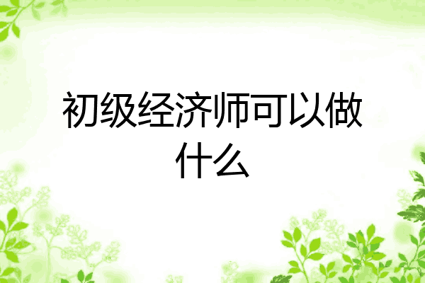 初级经济师可以做什么