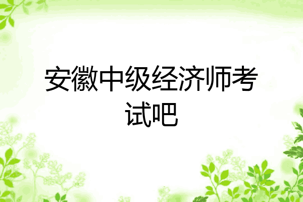 安徽中级经济师考试吧