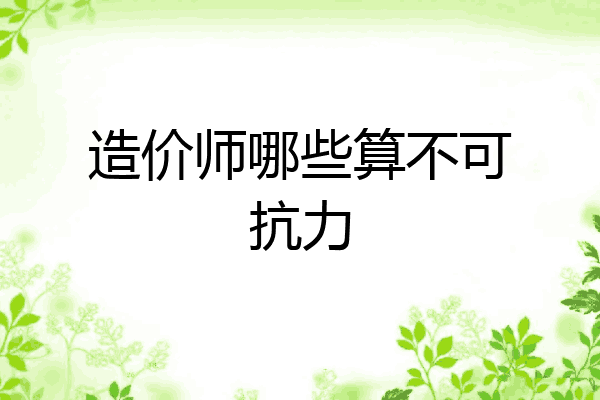 造价师哪些算不可抗力