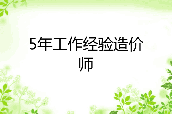 5年工作经验造价师