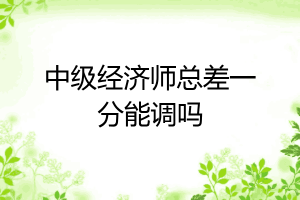 中级经济师总差一分能调吗