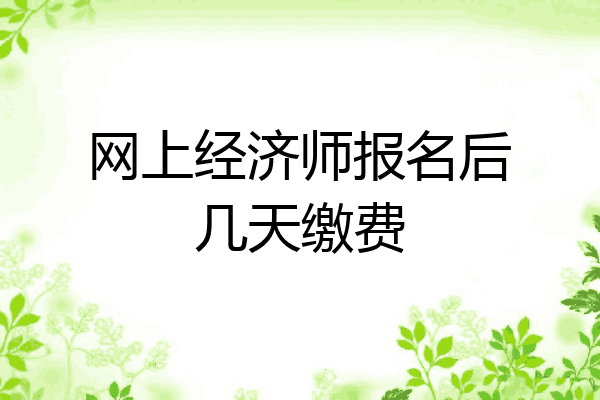 网上经济师报名后几天缴费