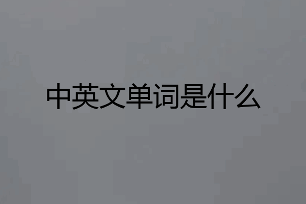中英文单词是什么